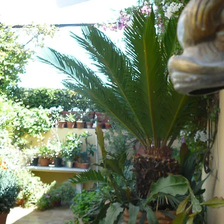 La Terrazza Dei Pelargoni Ventimiglia