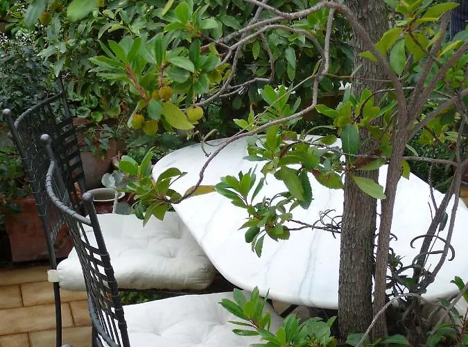 Bed & Breakfast La Terrazza Dei Pelargoni Ventimiglia