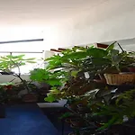 拉特拉莎迪佩蓝戈尼b&b酒店 3* 文蒂米利亚