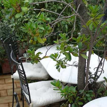 Alojamento de Acomodação e Pequeno-almoço La Terrazza Dei Pelargoni Ventimiglia