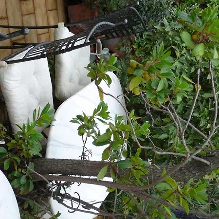 La Terrazza Dei Pelargoni Alojamento de Acomodação e Pequeno-almoço