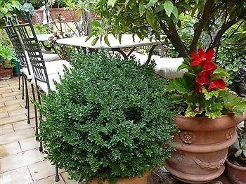 拉特拉莎迪佩蓝戈尼b&b酒店 3* 文蒂米利亚