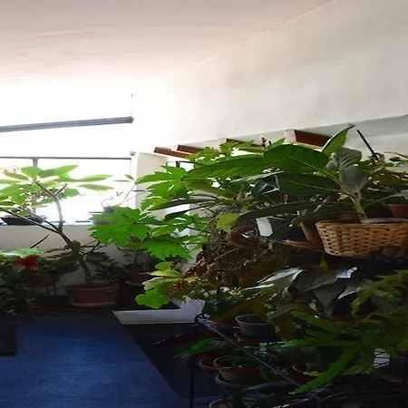 La Terrazza Dei Pelargoni 3* Ventimiglia