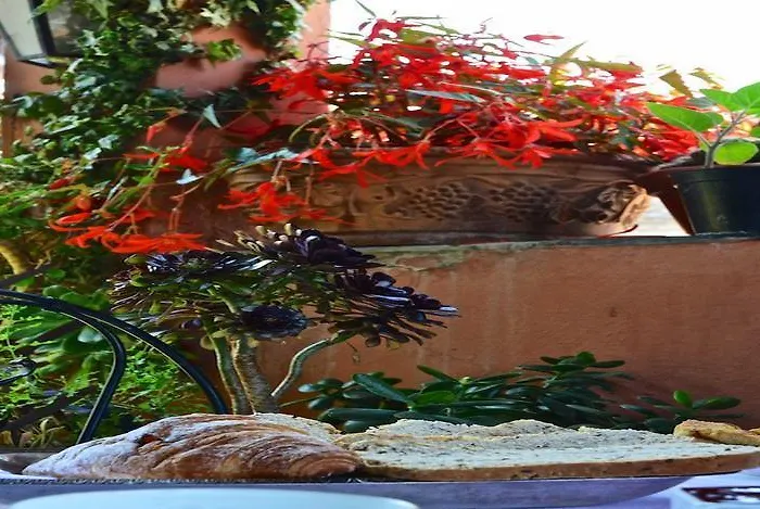 La Terrazza Dei Pelargoni Oda ve Kahvaltı 3*