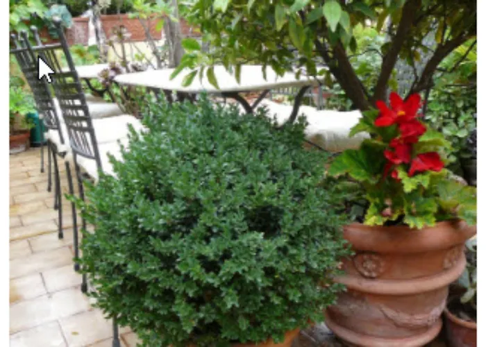 Oda ve Kahvaltı La Terrazza Dei Pelargoni